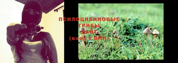 таблы Нестеровская