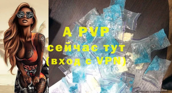 крисы Фёдоровский