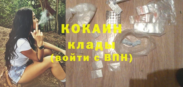 крисы Фёдоровский