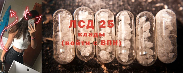 ПСИЛОЦИБИНОВЫЕ ГРИБЫ Новосибирск
