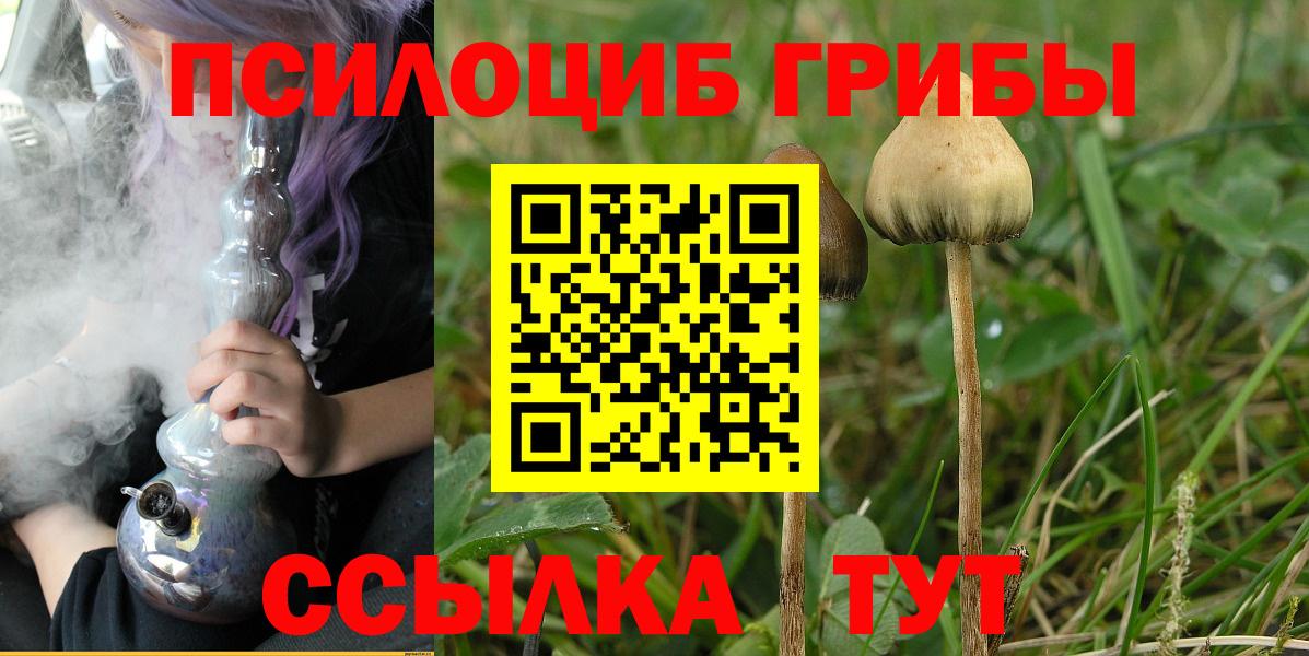 Галлюциногенные грибы ЛСД Реутов