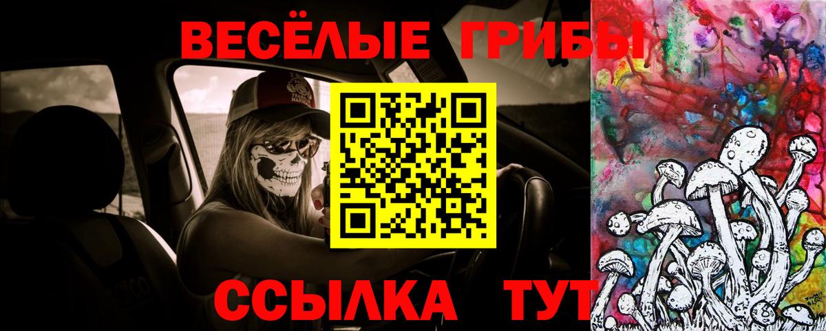 Псилоцибиновые грибы мицелий  Реутов 