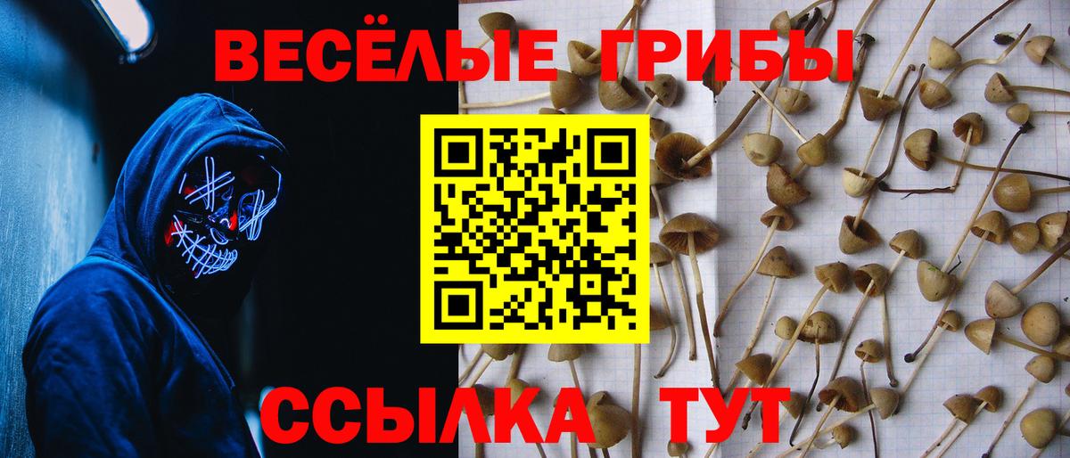 где найти наркотики  Вход с VPN  Реутов  Галлюциногенные грибы Psilocybe  Псилоцибиновые грибы Magic Shrooms 